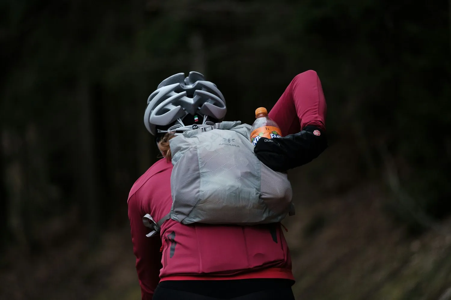 Apidura Packable Backpack 13L