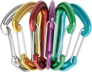 EDELRID Nineteen G Carabiner