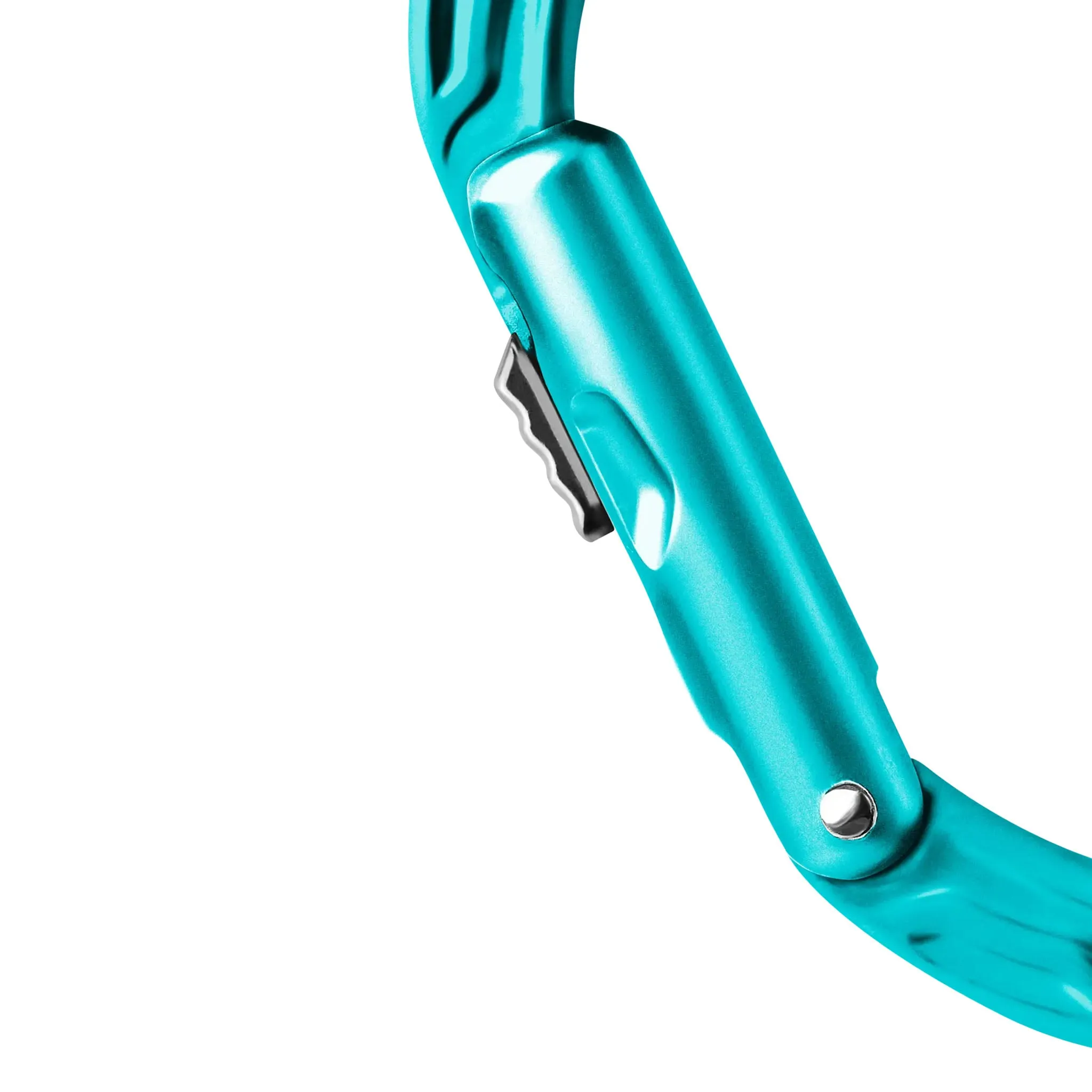 Kiwi Slider Oval Carabiner
