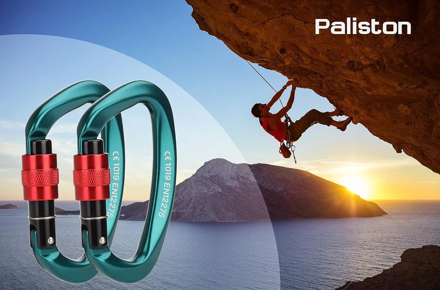Locking Carabiner - 25kN 5600lb Climbing Carabiner Screw Gate D Shape Carabiner