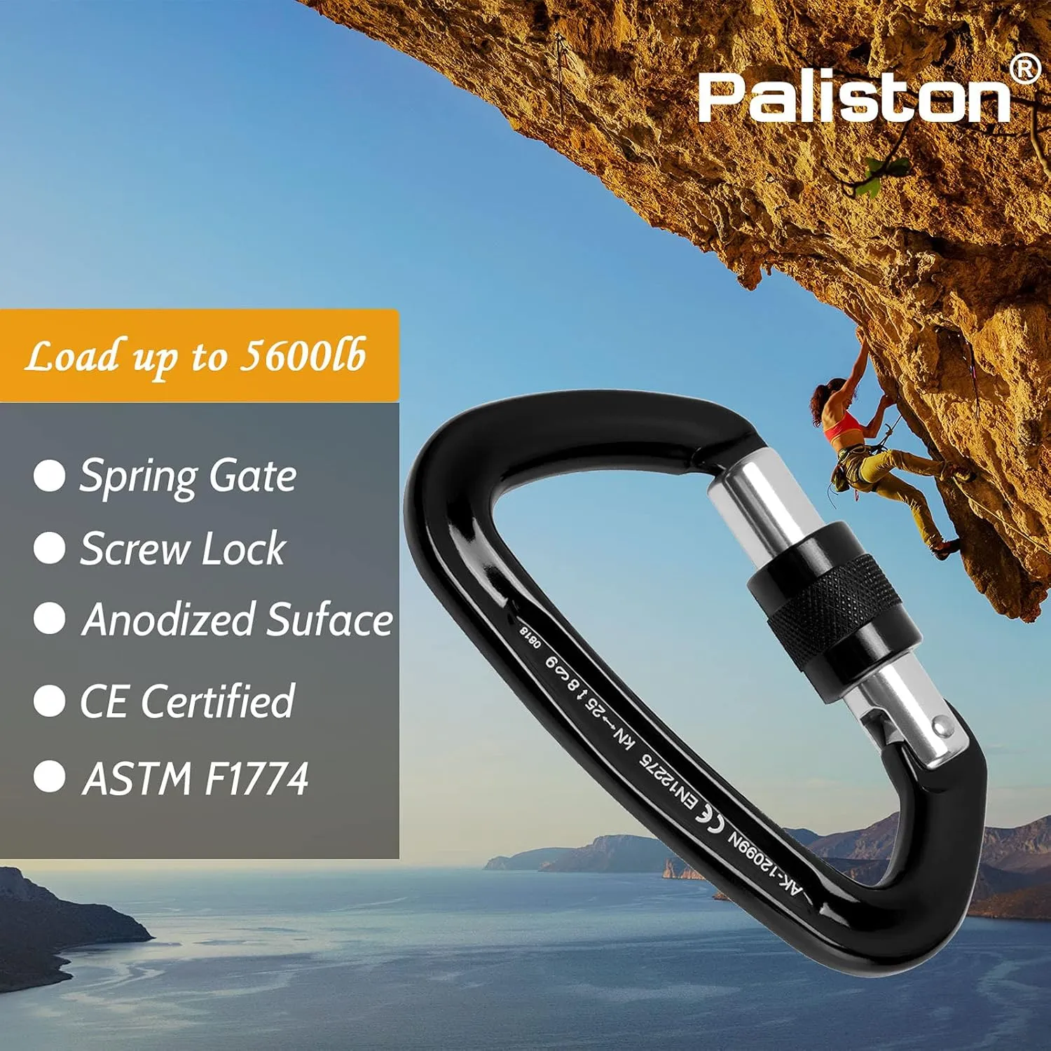 Locking Carabiner - 25kN 5600lb Climbing Carabiner Screw Gate D Shape Carabiner