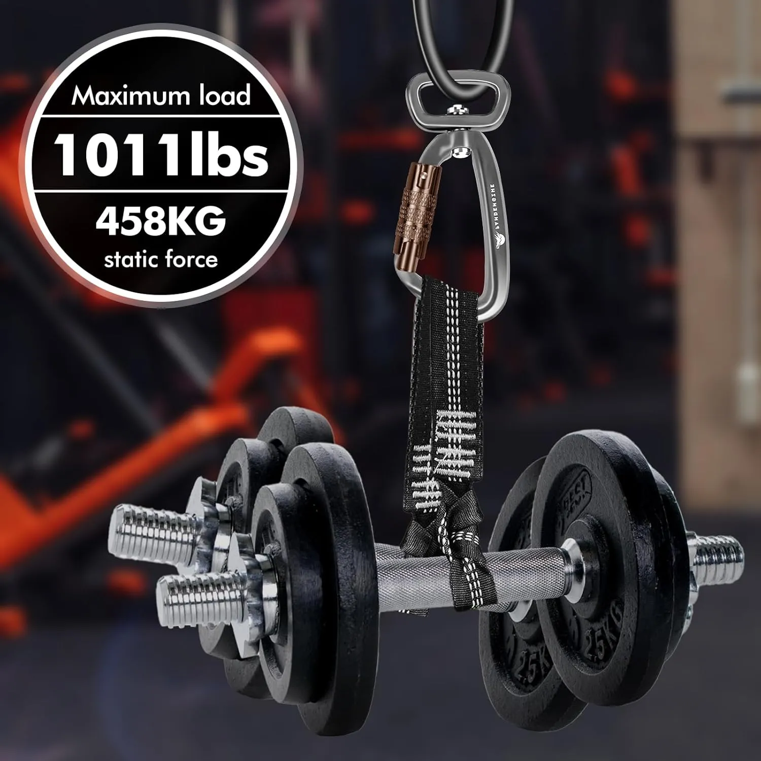 Locking Carabiner Clip 2.5" with Swivel Ring for Securing Pets, Dog Leash Harness, Camping, Hiking, Keychains