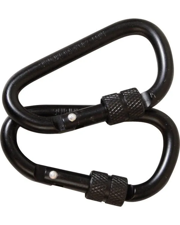 Locking Carabiner Pair