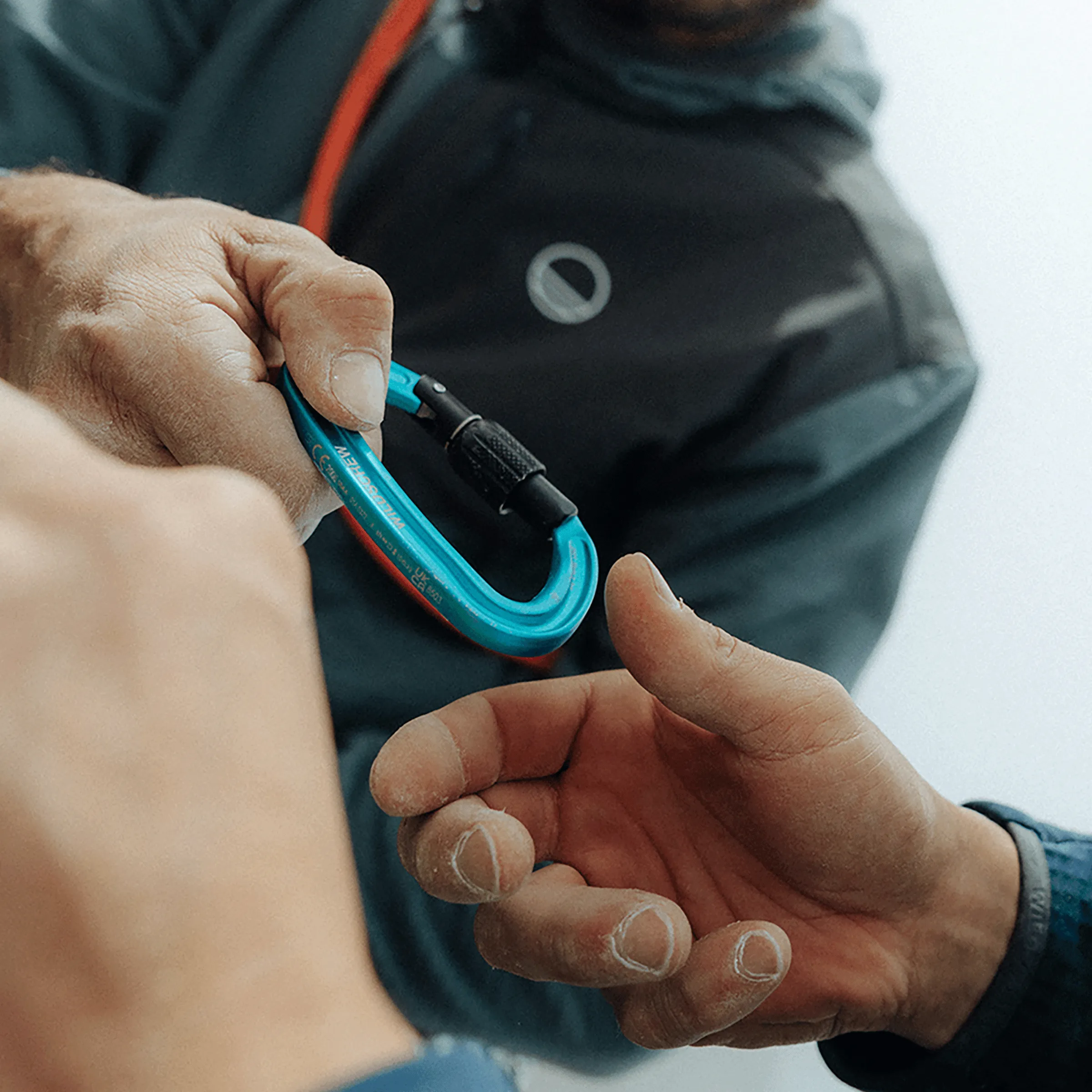 Wildscrew Screwgate Carabiner